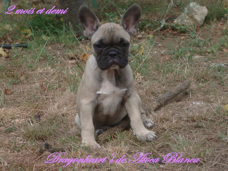 Publication : River Durance's Auteur : Alexandra R.