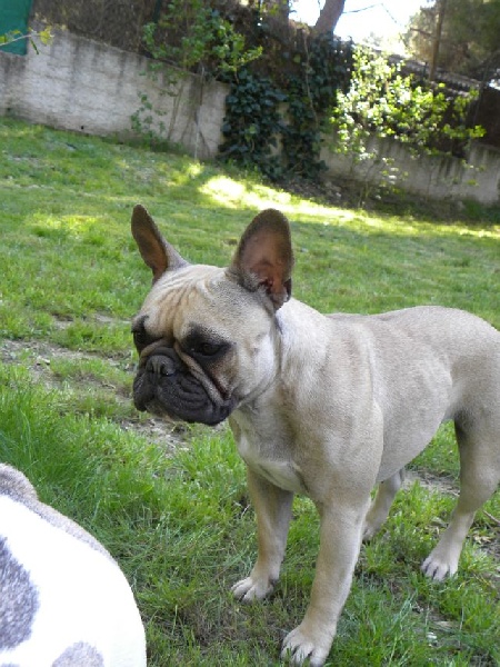 Publication : River Durance's Auteur : Alexandra R.