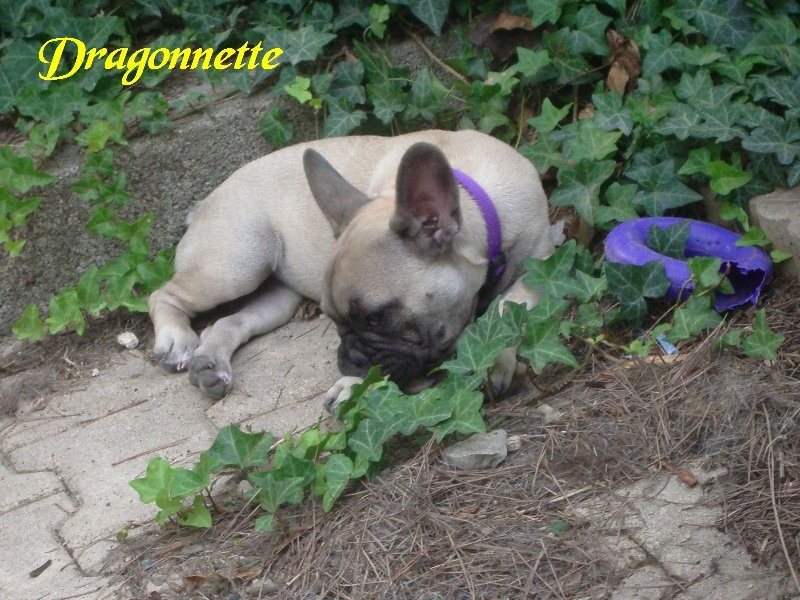 Publication : River Durance's Auteur : Alexandra R.