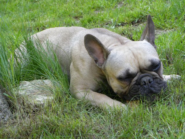 Publication : River Durance's Auteur : Alexandra R.