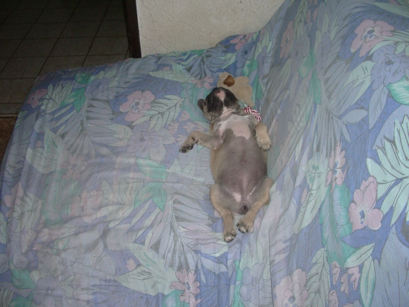 Publication : River Durance's Auteur : Alexandra R.