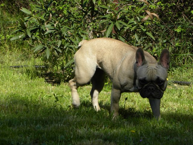 Publication : River Durance's Auteur : Alexandra R.