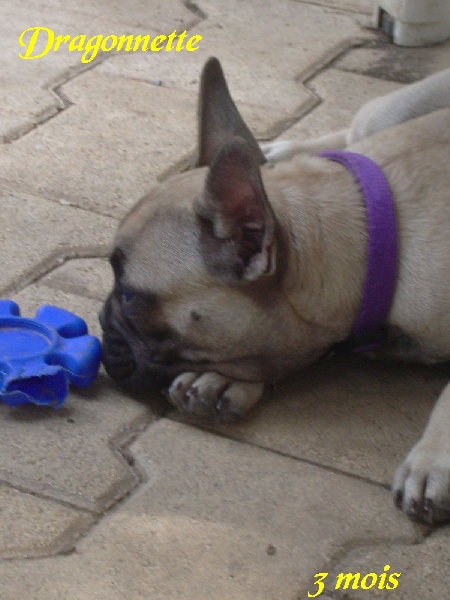 Publication : River Durance's Auteur : Alexandra R.