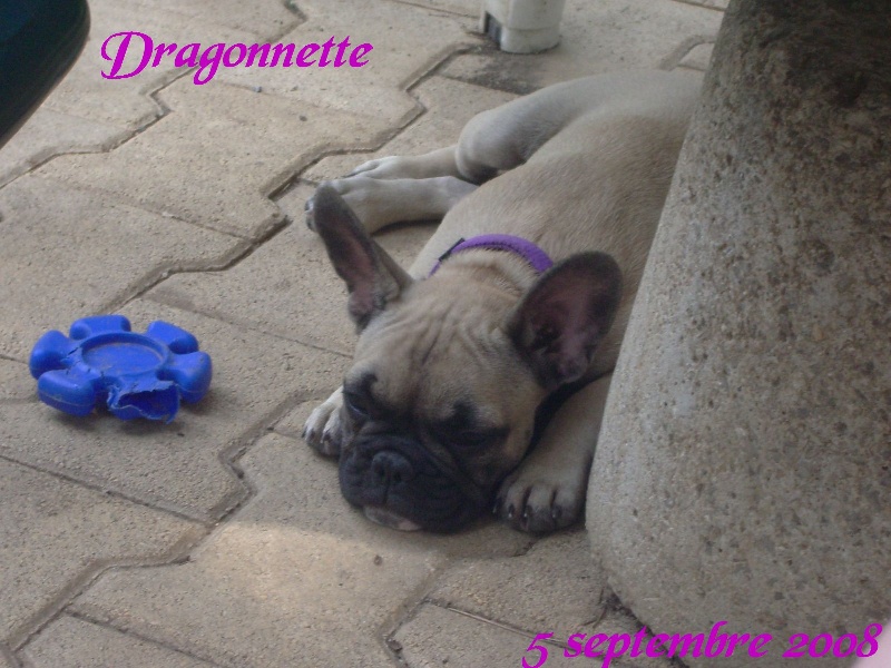 Publication : River Durance's Auteur : Alexandra R.