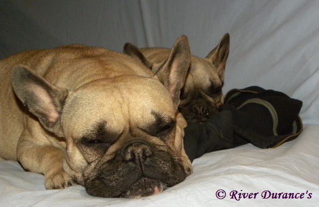 Publication : River Durance's Auteur : Alexandra R.