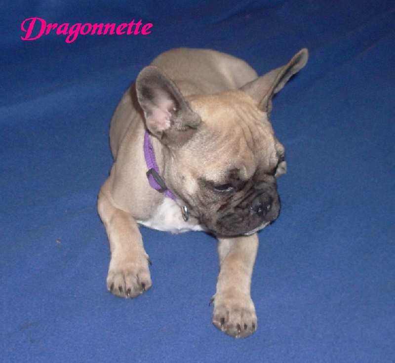 Publication : River Durance's Auteur : Alexandra R.