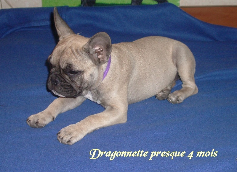 Publication : River Durance's Auteur : Alexandra R.