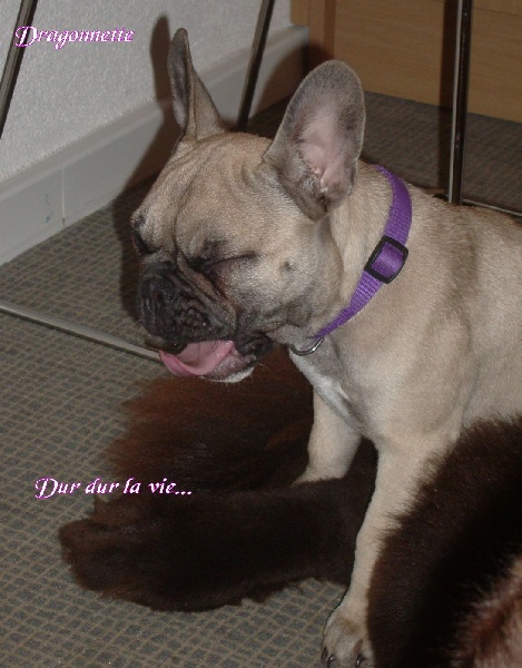 Publication : River Durance's Auteur : Alexandra R.