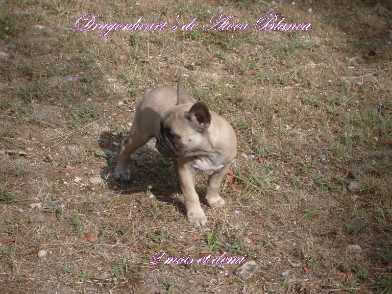 Publication : River Durance's Auteur : Alexandra R.