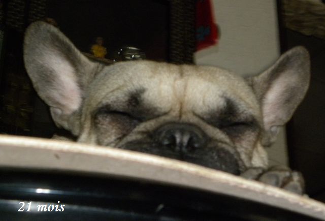 Publication : River Durance's Auteur : Alexandra R.