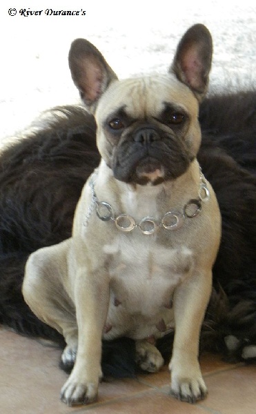 Publication : River Durance's Auteur : Alexandra R.