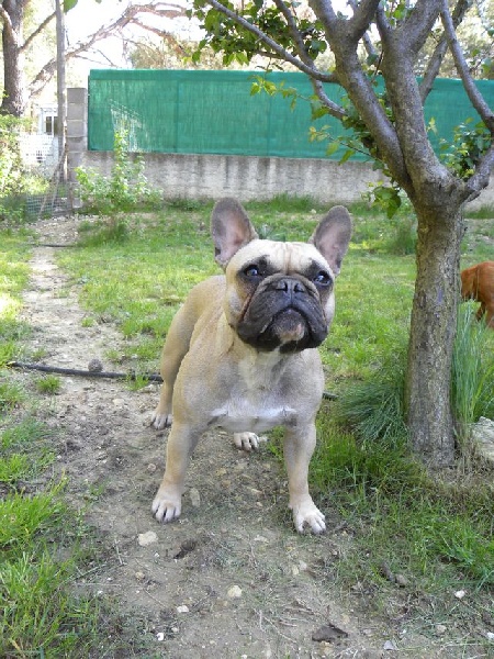 Publication : River Durance's Auteur : Alexandra R.