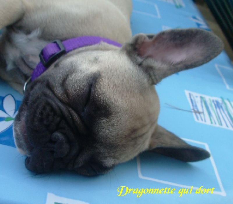 Publication : River Durance's Auteur : Alexandra R.