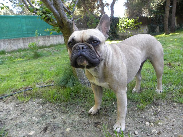 Publication : River Durance's Auteur : Alexandra R.