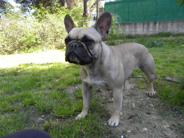 Publication : River Durance's Auteur : Alexandra R.