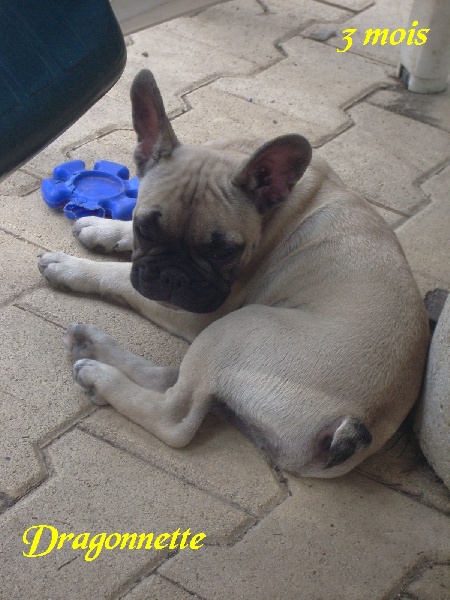 Publication : River Durance's Auteur : Alexandra R.