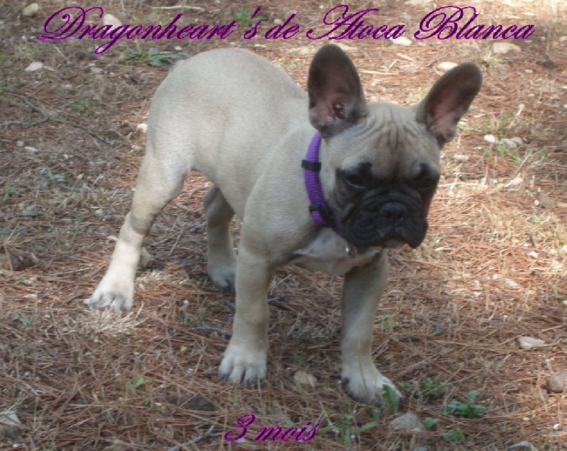 Publication : River Durance's Auteur : Alexandra R.