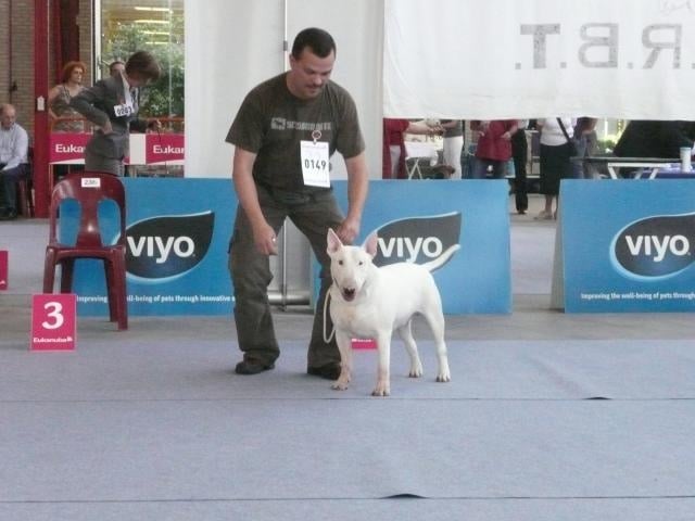 CH. megaville Superstition - CAC, 1st Excellent, Males Intermediate