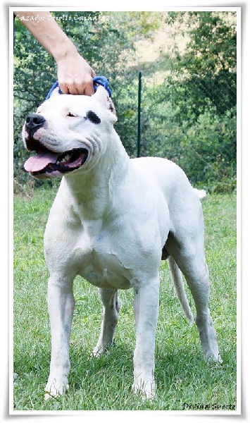 Publication : Du Pays Melusin