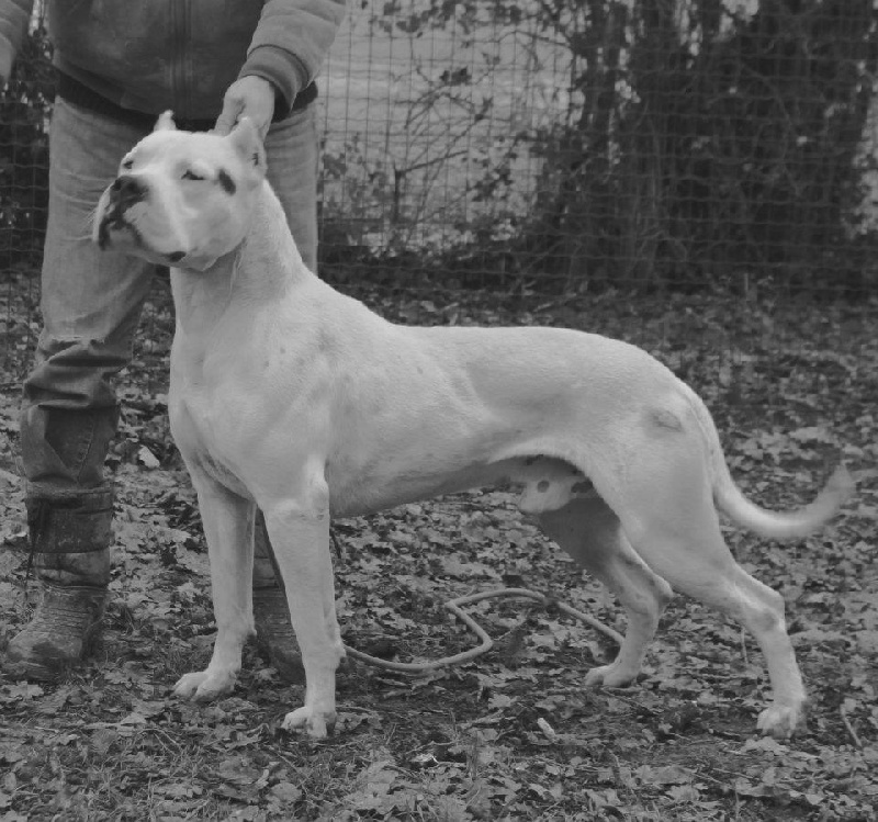 Publication : Du Pays Melusin