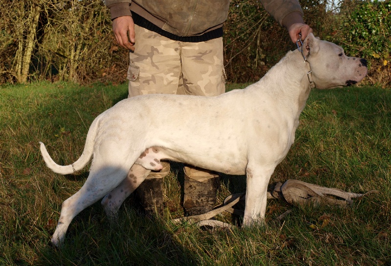 Publication : Du Pays Melusin