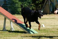 Vulcain (Sans Affixe)