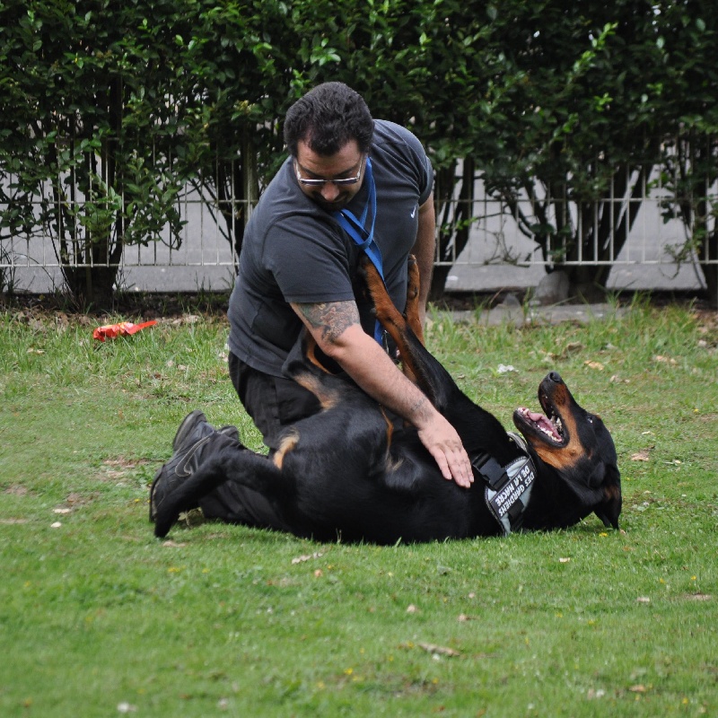 Faïka des Gardiens de la Nacre