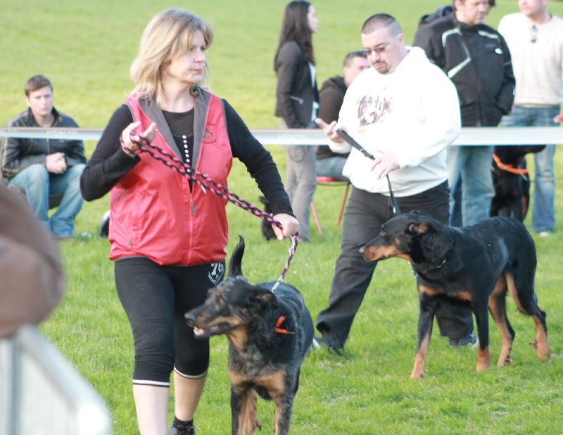 Faïka des Gardiens de la Nacre