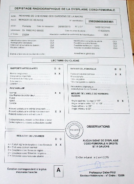 Indienne de cheyenne des Gardiens de la Nacre