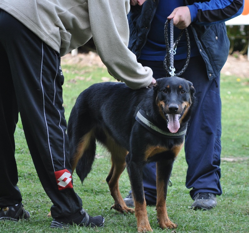 Faïka des Gardiens de la Nacre