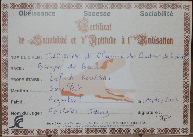 Indienne de cheyenne des Gardiens de la Nacre