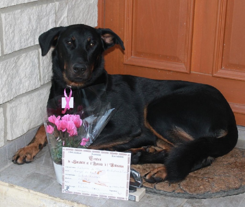 Indienne de cheyenne des Gardiens de la Nacre