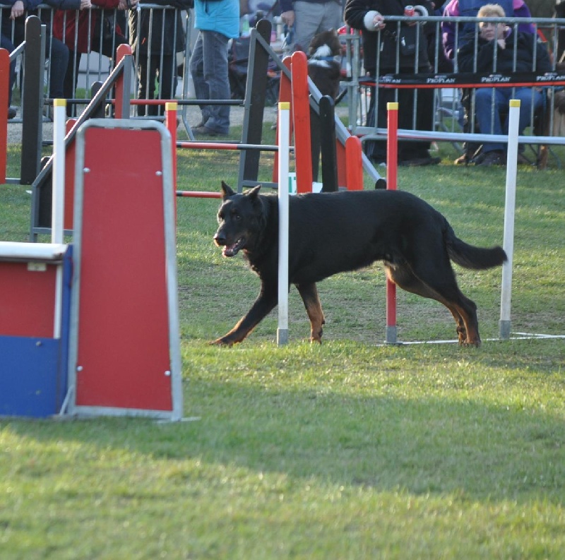 Vulcain (Sans Affixe)