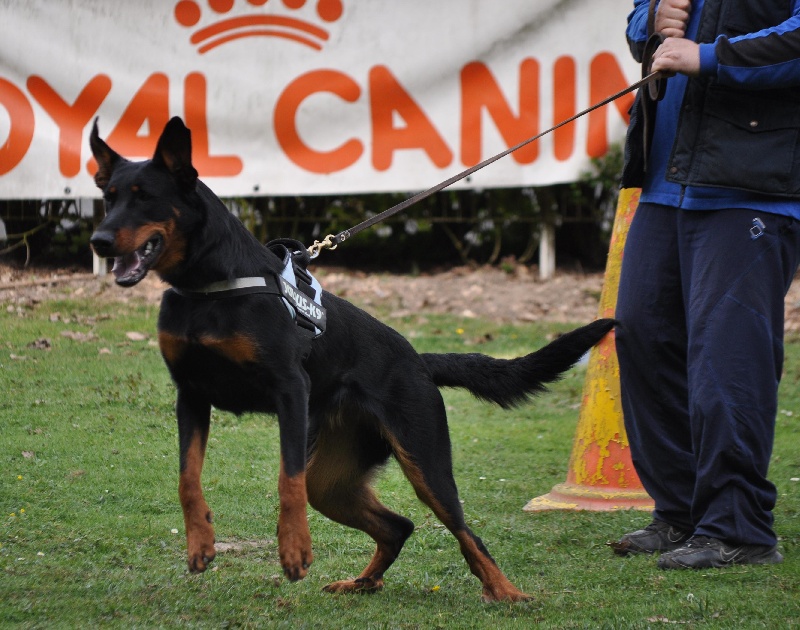 Faïka des Gardiens de la Nacre