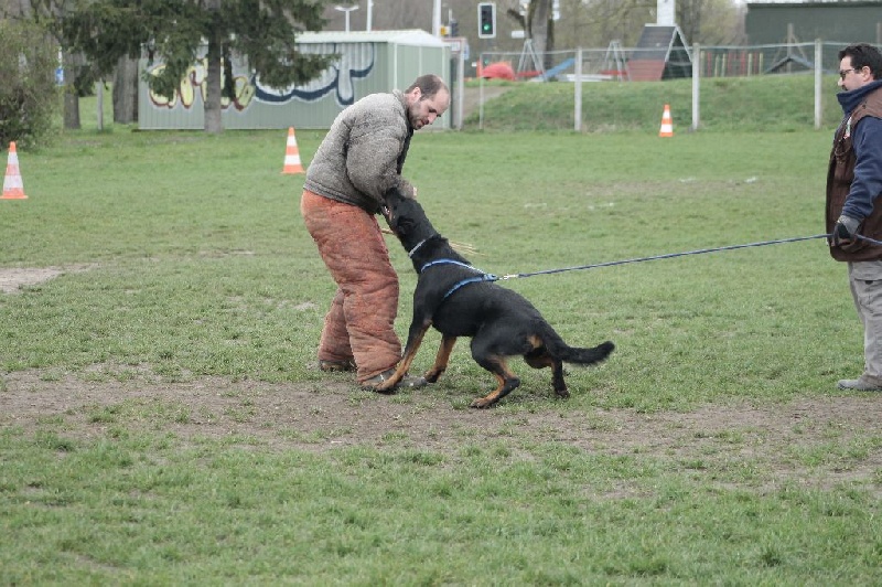 Indienne de cheyenne des Gardiens de la Nacre