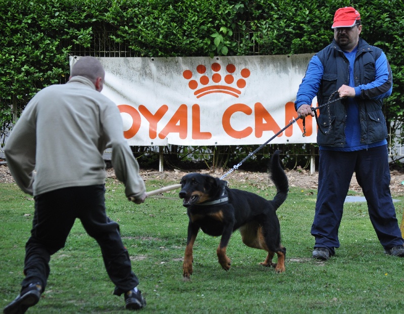 Faïka des Gardiens de la Nacre