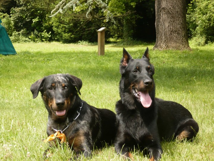 Cheyenne argentée du temple de feu