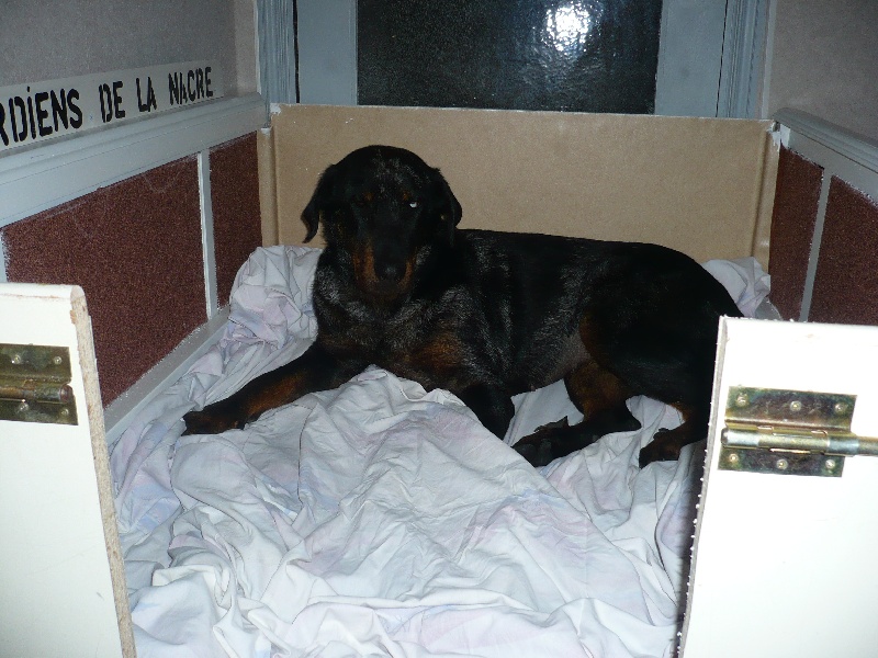 Cheyenne argentée du temple de feu