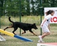 Vulcain (Sans Affixe)