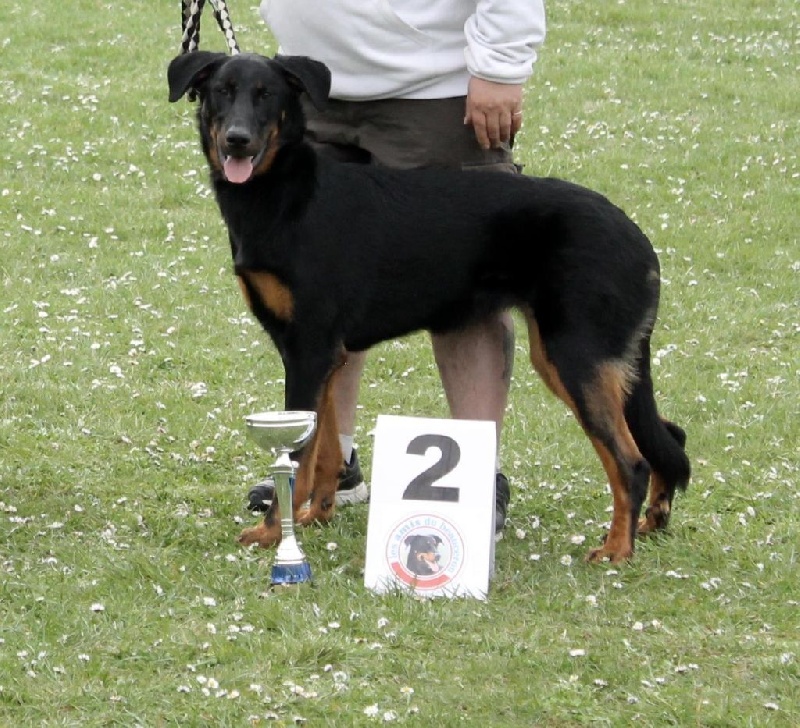 Indienne de cheyenne des Gardiens de la Nacre