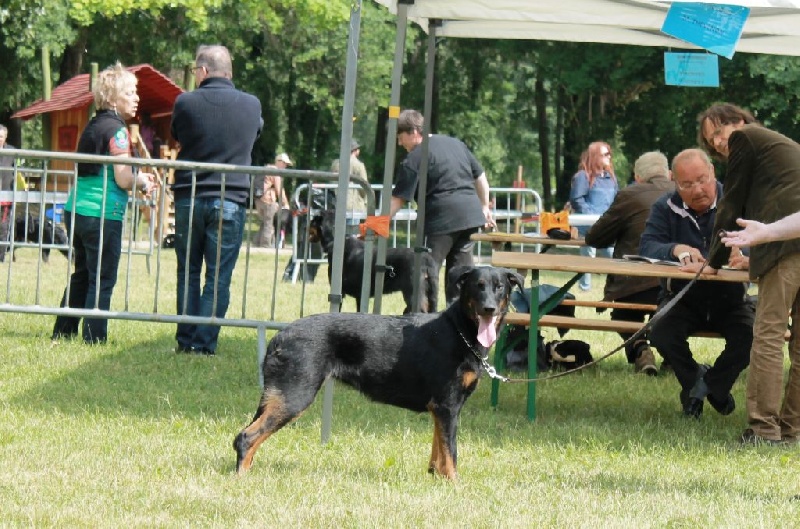 Indienne de cheyenne des Gardiens de la Nacre