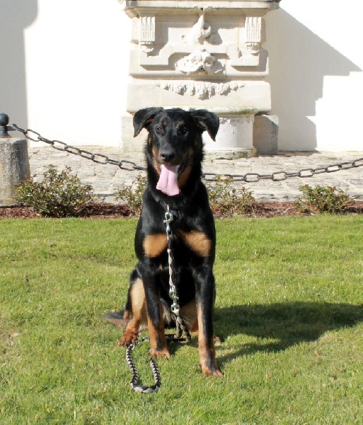 Indienne de cheyenne des Gardiens de la Nacre