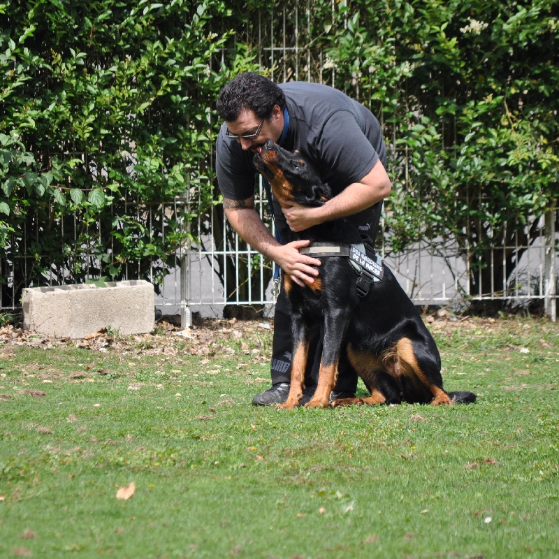 Faïka des Gardiens de la Nacre