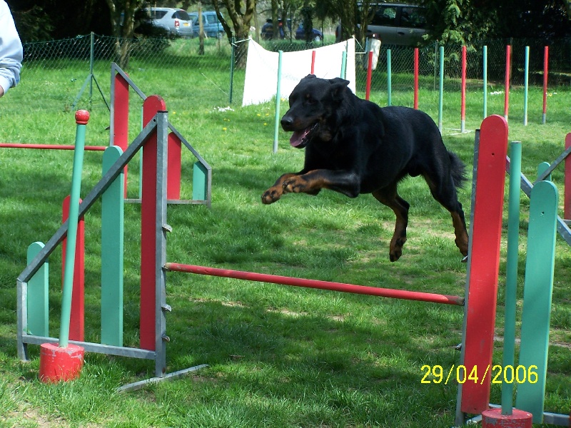 Vulcain (Sans Affixe)