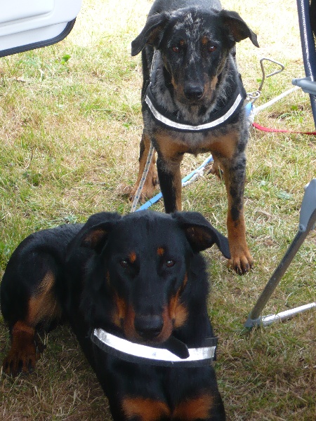 Faïka des Gardiens de la Nacre