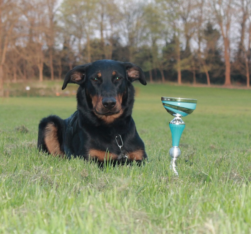 Faïka des Gardiens de la Nacre