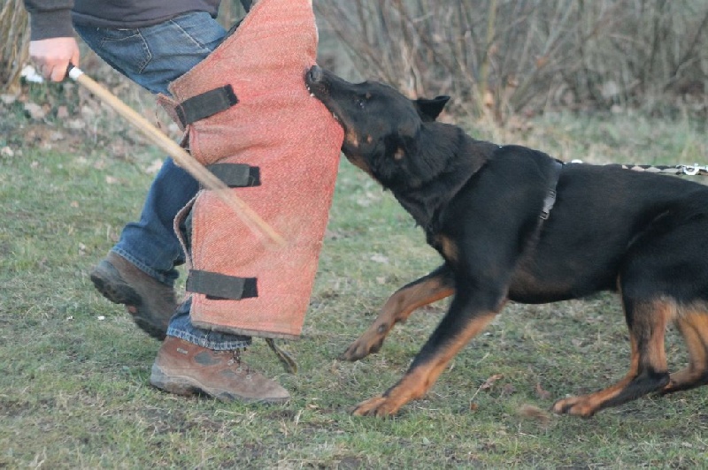 Indienne de cheyenne des Gardiens de la Nacre