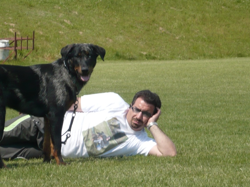 Cheyenne argentée du temple de feu