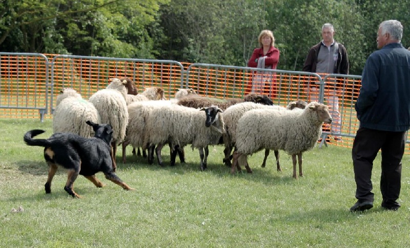 Indienne de cheyenne des Gardiens de la Nacre