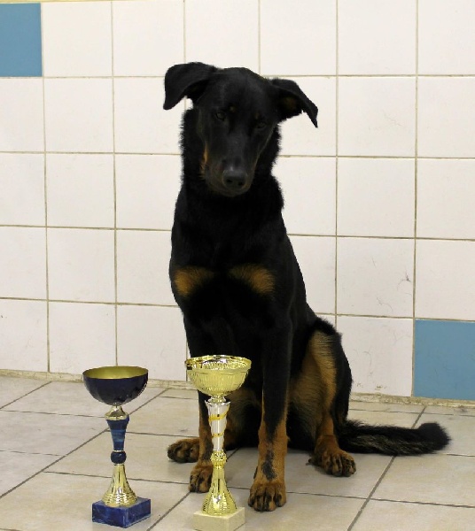 Indienne de cheyenne des Gardiens de la Nacre